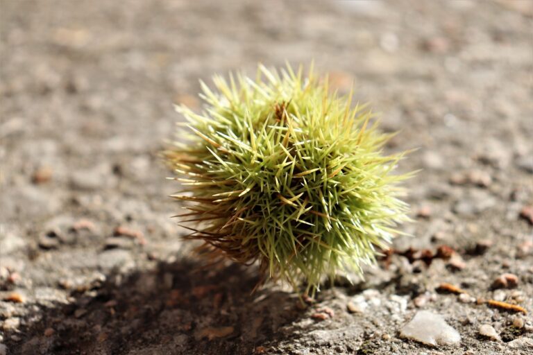Typische Fehler bei klassischen Anlagen erkennen und langfristig vermeiden