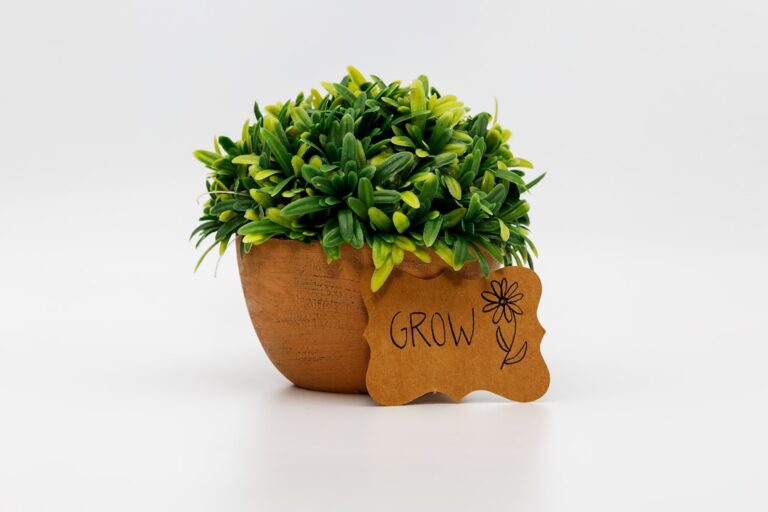 Effizienter Pflanzenanbau trotz Inflation mit nachhaltigen Grow-Methoden und Energiesparen