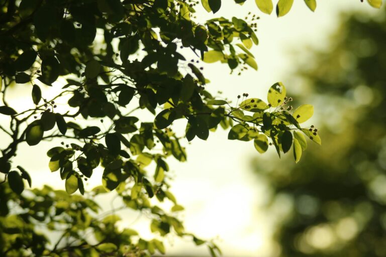 Wie Verbraucher den steigenden Kosten durch Inflation im Alltag begegnen Verbraucher beim Einkaufen und Energiesparen trotz steigender Inflationskosten im Alltag