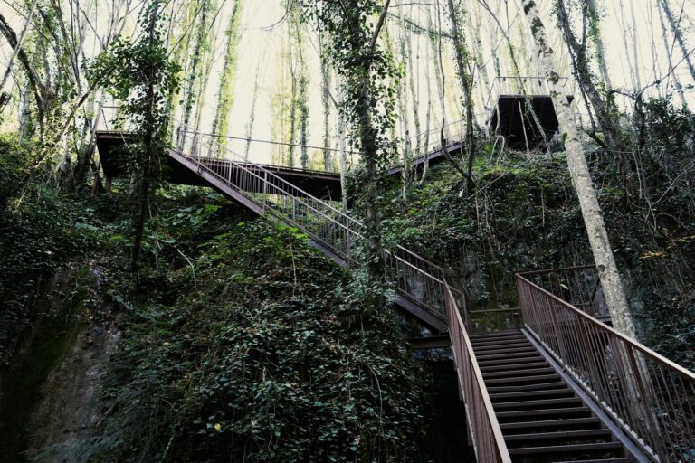 Rentnerin mit Einkaufswagen im Supermarkt vor Preisschildern steigender Inflation Altersarmut
