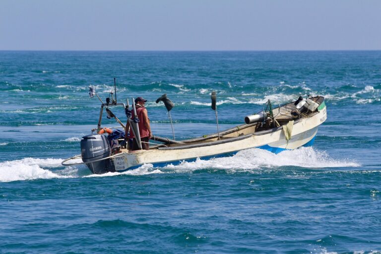 Preisentwicklung bei alltäglichen Konsumgütern Inflation To-Go einfach erklärt