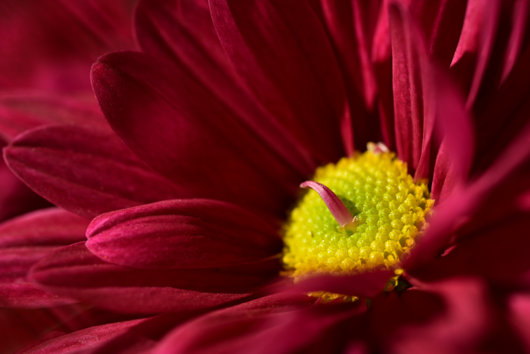 So unterscheiden sich die wichtigsten Inflationsarten in der Praxis Grafik zeigt verschiedene Inflationsarten und deren Auswirkungen auf Verbraucher und Wirtschaft