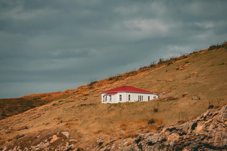 Inflation in Neuseeland verstehen und wie die Zentralbank mit Zinsen reagiert Illustration zum Thema Neuseeland Zins Inflation