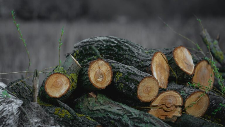 Rohstoffe als sichere Wertanlage in Zeiten hoher Inflation und steigender Preise