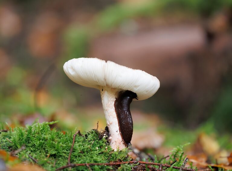 Stabiles Portfolio mit klassischen Anlageklassen zum Schutz vor Stagflation