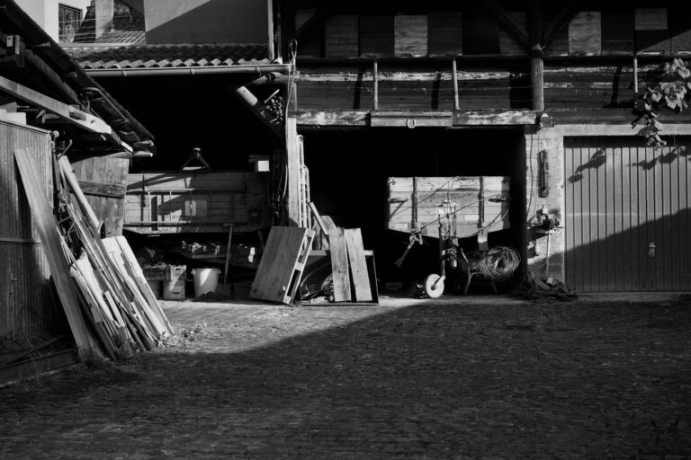 Strategien für junge Anleger um Vermögen langfristig gegen Inflation zu schützen Junge Anleger analysieren Finanzdiagramme für langfristigen Inflationsschutz und Vermögensaufbau