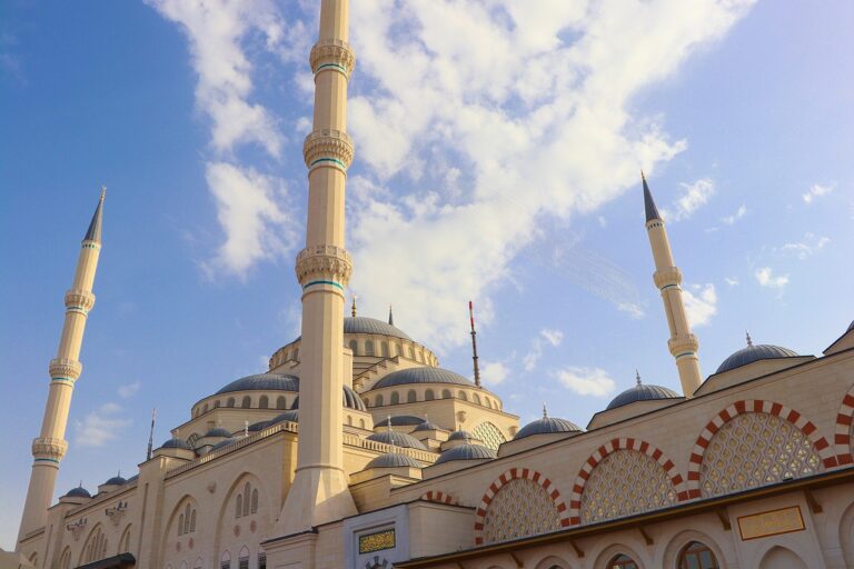 Waldfonds Rendite verstehen und wie sie vor Inflation schützt Waldfonds Rendite als nachhaltige Geldanlage zum Schutz vor Inflation